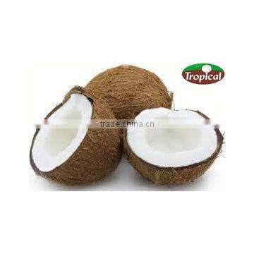 VIRGIN COCONUT OIL BULK photo-2