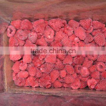 IQF Frozen raspberry whole from fresh material