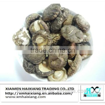 Oyster mushroom extract price