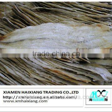 Dried White eel export