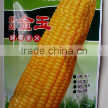 High yield with thin skin sweet waxy maize corn Yellow F1