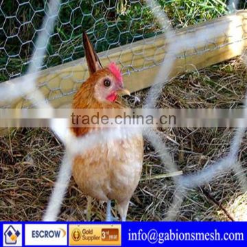 Chicken cage wire mesh,chicken wire mesh price,mini chicken wire mesh(factory direct sale)