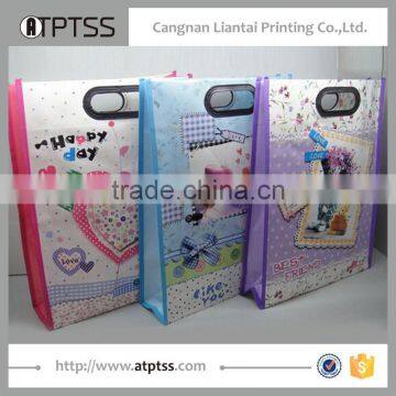 Custom Print Promotion Recyclable Matt Laminated pp Non Woven Bag photo-2