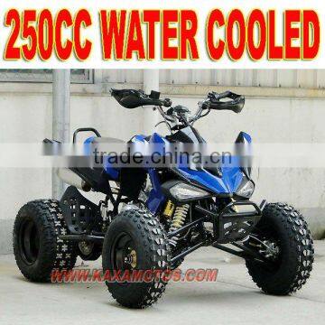 24HP 4 Valve 250cc Sports ATV