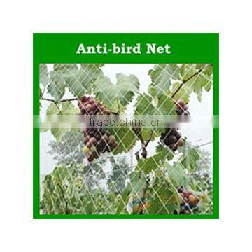 HDPE Virgin Material Anti Hail Net for Agricultural /bird Net