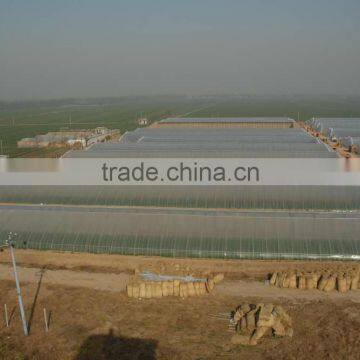 Galvanized Iron for Greenhouse photo-6