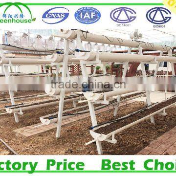 Hydroponic Systems Greenhouse for Agriculture photo-4