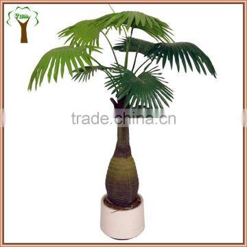 artificial bottle palm tree with fan palm leaves