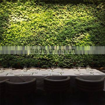 2017 Hot Sale Manufacturer Plastic Green Wall Panels for Outdoor or Indoor photo-5