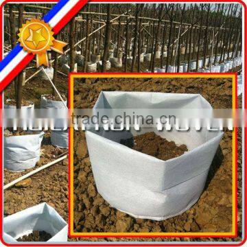 Customized Weight Non Woven Tree And Plant Grow Bag,planting Bags, Tree Planting Bag
