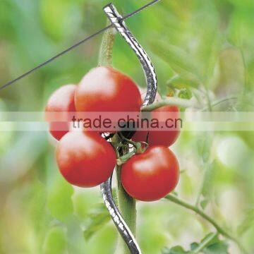 Iron Tomato Spiral for Plant Support photo-4