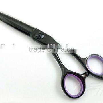 Black Titanium Professional Hairdressing Scissors