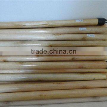 eucalyptus broom stick