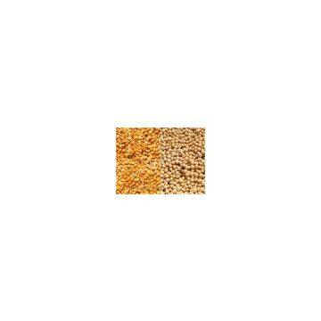 Automatic 6FW-P100 Garden Pea Peeling Machine photo-2