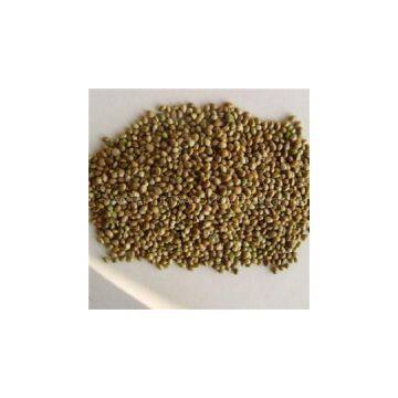 Whole Hemp Seeds