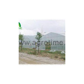 Tomato Plastic Greenhouse