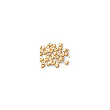 Sell Artemia Cyst