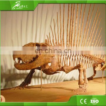 China KAWAH OEM factory museum dinosaur skeleton for sale