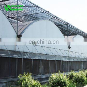 Commercial 200 Micron Uv Resistant Plastic Film Greenhouse