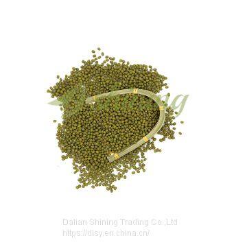 New Crop Premium High Quality Green Mung Bean For Sell