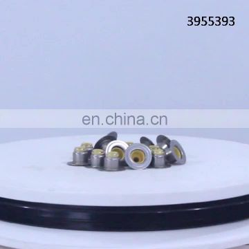 3955393 Valve Stem Seal for cummins QSF3.8 130 QSF3.8 CM2350 F107 diesel engine spare Parts  manufacture factory in china