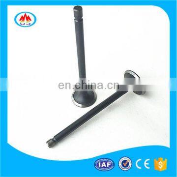 Top Level Quality Spare Parts Engine Valve for Honda G100 G150 G300 G400 photo-4