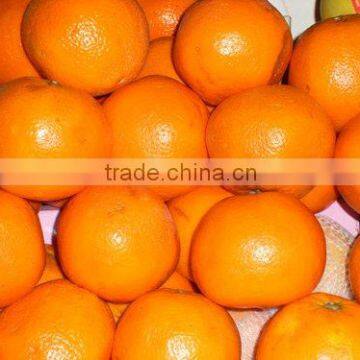 Naringin10% 95% 98%/Citrus paradisi extract