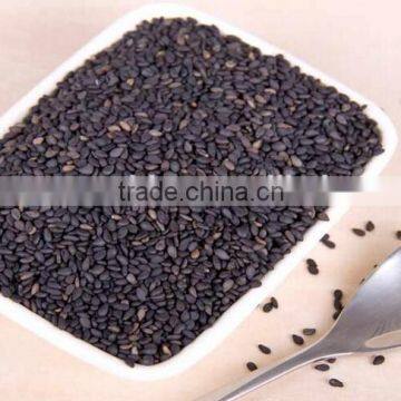 Sesame Seed Paste Making Machine|Tahini Processing Equipment photo-4