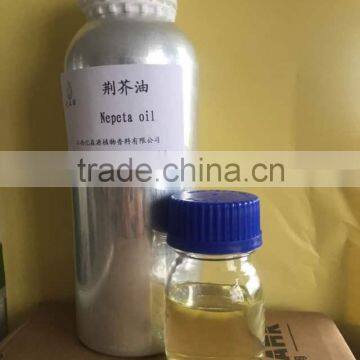 Pure Fineleat Schizonepeta /nepeta Oil Treat a Cold With the Factory Price