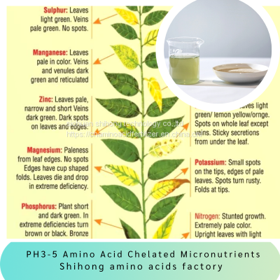 Amino Acid Powder Fertilizer Micronutrients Chelated Trace Elements 10% for Agriculture Crops photo-3
