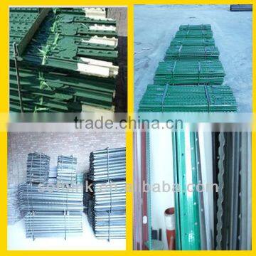 Hot sales heavy duty Green painted T post