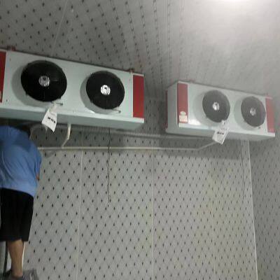 Freezing House,Cold Storage,Cold House,Cold Room
