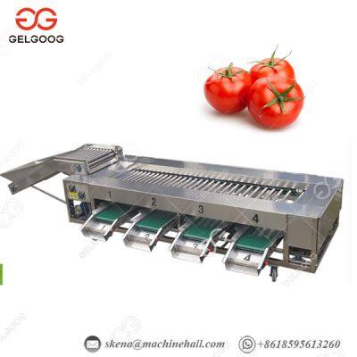 Apple Blueberry Tomato Potato Dates Avocado Cucumber Fruit Vegetables Grading Sorting Machine