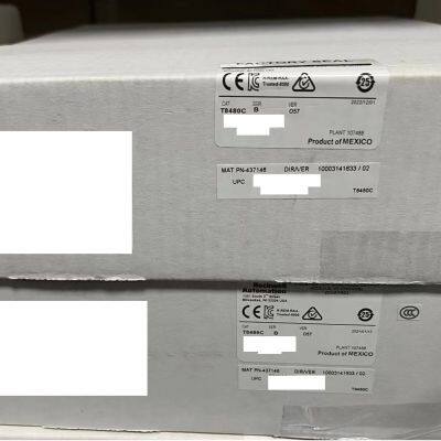 T8480C Analogue Output P8480