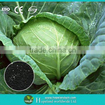 Leafy Crops Special Fertilizer-RSSC Organic Fertilizer photo-4