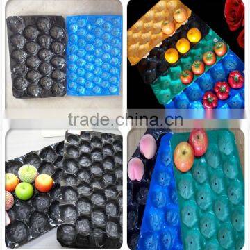 2015 New Vendor directly supply Disposable Fruit Delivery Packaging Plastic Container Tray