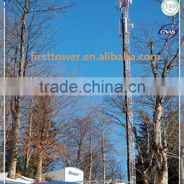 High Quality Self Supporting Monopole Communication Tower photo-3