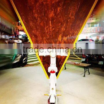 China Eco-friendly Size Electric Scooter photo-5