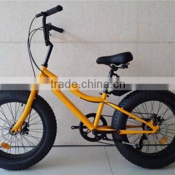 Popular 20'' Beach Cruiser Bike Big Tire Fat Bike