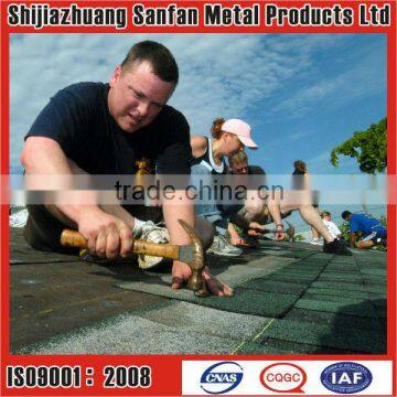 Roofing nail common nail concrete nail