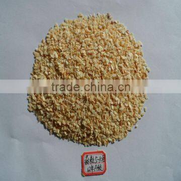 Dry dehydrated Garlic Granulated