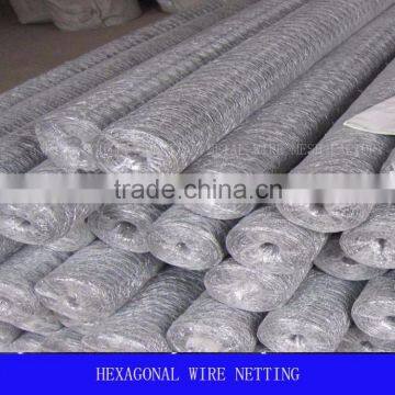 Hexagonal Wire Netting in 1/2" to 3" for Feeding photo-6