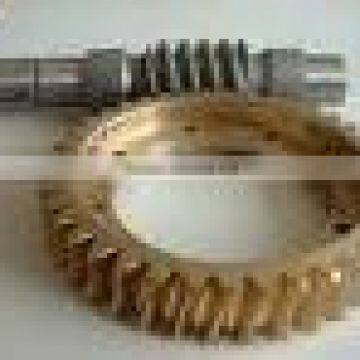 Alloy Steel Worm Gear