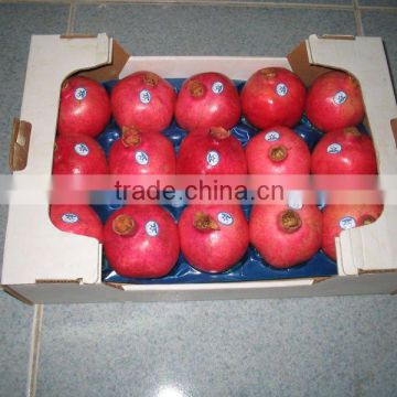 Pomegranate PP Material Fruits Tray