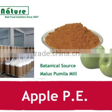 Plant Extract Apple P.E. Polyphenols