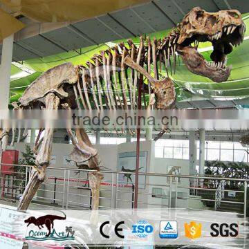 OA-SD-L14 Dinosaur park skeleton model bone fossil