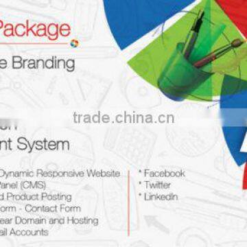 Website Customization and Website Designing
