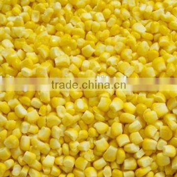 High quality IQF Frozen Sweet Corn for sale