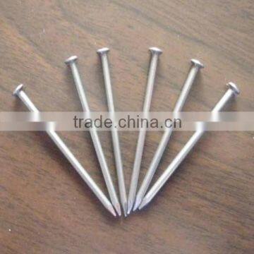 Common Nails photo-2
