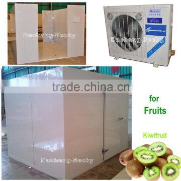 Easy installation cold storage for fruits with Copeland compressor
